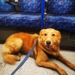Teddy Craig Edge - @teddycraigedge - Instagram