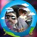 Greg Eddinger - Facebook