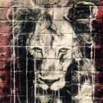Craig Edmond - @craigedmond - Instagram