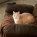Craig Edick - Facebook