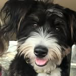 Craig Egan - @craig.egan.7 - Instagram