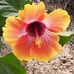 Craig Eilola - Facebook