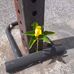 Craig Eilola - Facebook