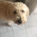 Craig Ezard - Facebook