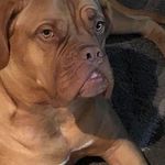 Craig Eldridge - @bigfella2011 - Instagram