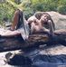 Craig Ellenburg - Facebook