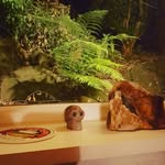 Craig Keller - @craighellionkeller - Instagram