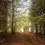 Ellery - @_ellery.craig__o2g9._ - Instagram