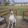 Craig Stelzner - @craigstelzner0 - TikTok