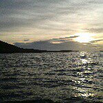 craig elwell - @mala1974 - Instagram