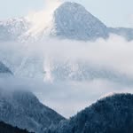 @craigelystafford - Instagram