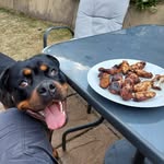 Craig Emanuel - @shakey76_ - Instagram