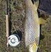 Craig Enright - Facebook