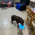 Craig Erb - Facebook