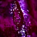 Craig Erhart - @craigerhart - Instagram