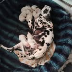 Ervin Craig - @ervincraig - Instagram