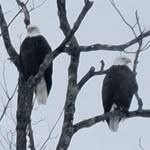 Craig Estes - @livewireinmaine - Instagram