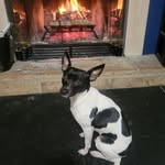 Craig Estes - @craig.estes.142 - Instagram