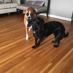 Craig Everett - @coacheverett6 - Instagram
