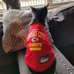 Sally Ray Craig-Everhart - @hartsharmony - Instagram