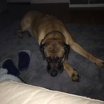 Craig Farmer - @craigfarmer505 - Instagram