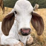 Craig Farmer - @craigfarmer7 - Instagram