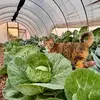 Farmer Craig - @farmer.craig - TikTok