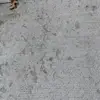 i - @craig.ferrell - TikTok