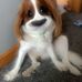 Craig Finlayson - Facebook
