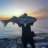 Craig - @fishingwcraig - TikTok