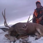 Craig Freese - @craigfreese - Instagram