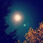 Craig Gamble - @csgamble220956 - Instagram
