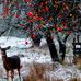 Craig Getz - Facebook