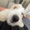 Grayson Craig - @grayson.craig8 - TikTok