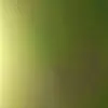 Craig Gregory637 - @craiggregory335 - TikTok