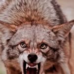 Craig Griffith - @craig.griffith.71 - Instagram