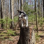Craig Grimm - @craig.grimm.944 - Instagram