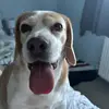 Craig Grimmer - @craig.grimmer - TikTok