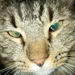 Craig Grimmett - @craiggrimmett - Instagram