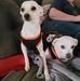 Craig Hammer - Facebook