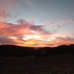 Craig Heaton - @cheaton333 - Instagram