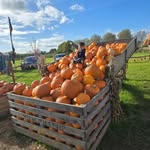 Craig Hilton - @craig.hilton.3910 - Instagram