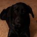 Craig Hilton - Facebook