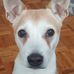 Craig Hindman - Facebook