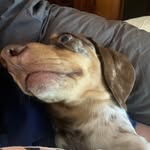 Craig Hooper - @yum988 - Instagram