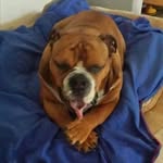 Craig Hooper - @craig_hoops23 - Instagram
