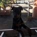 Craig Jacques - Facebook