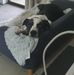 Craig Jacques - Facebook