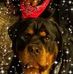 Craig Jeter - Facebook