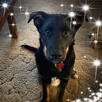 Craig Kappes - @craigkappes - Instagram